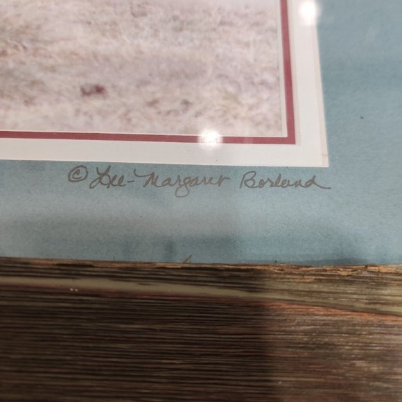 Hippopotamus Photography Lake Manyara National Park Tanzania Africa Lee-Margaret - Picture 3 of 15